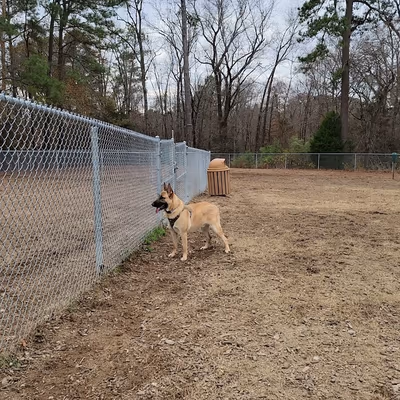 Dog Park at Buffaloe Road Athletic Park